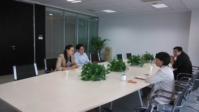 集团战略咨询团队：如何评估其优缺点？**