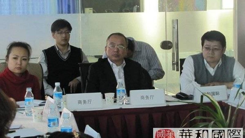 成都可行性研究报告：经济效益评价的关键要素与误区